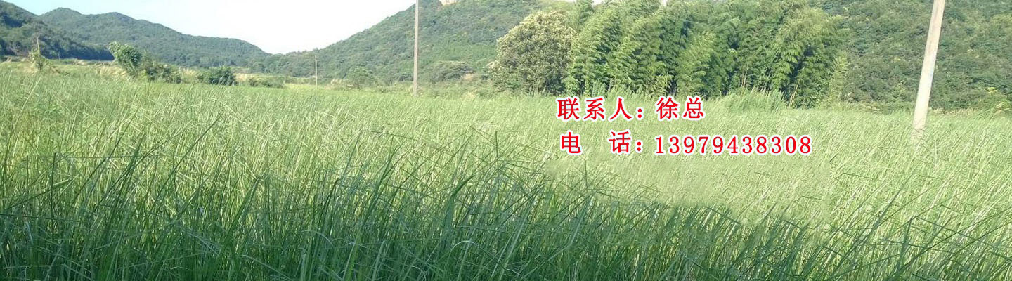 山東勝沃液壓機(jī)械有限公司